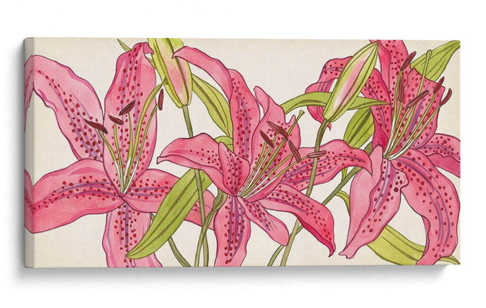 Lirios Rosados ​​Ii - Melissa Wang | Cuadro decorativo de Canvas Lab