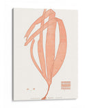 Vívido Marina De Coral I - Vision Studio | Cuadro decorativo de Canvas Lab