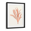 Vivivid Coral Seaweed Iv - Vision Studio | Cuadro decorativo de Canvas Lab