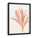 Vivivid Coral Seaweed Iv - Vision Studio | Cuadro decorativo de Canvas Lab