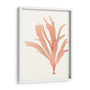 Vivivid Coral Seaweed Iv - Vision Studio | Cuadro decorativo de Canvas Lab
