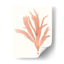 Vivivid Coral Seaweed Iv - Vision Studio | Cuadro decorativo de Canvas Lab