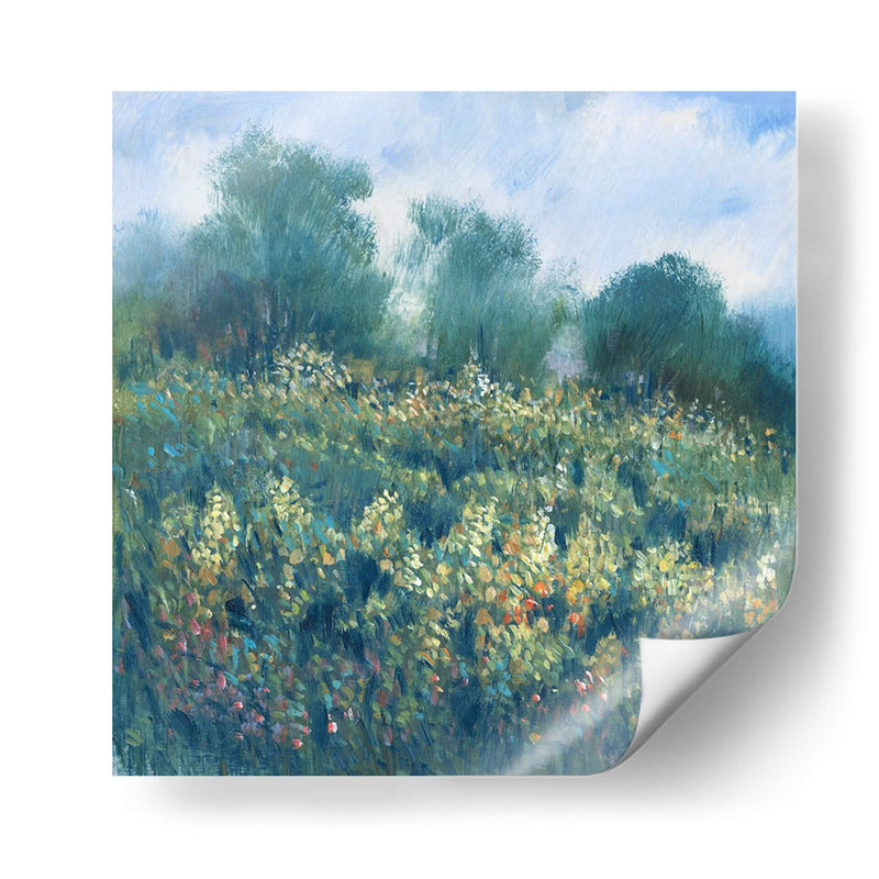 Pradera Wildflowers I - Tim OToole | Cuadro decorativo de Canvas Lab