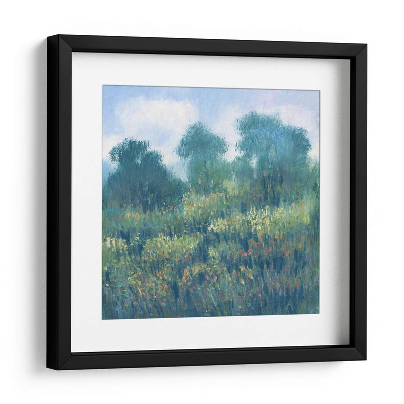 Pradera Wildflowers Ii - Tim OToole | Cuadro decorativo de Canvas Lab