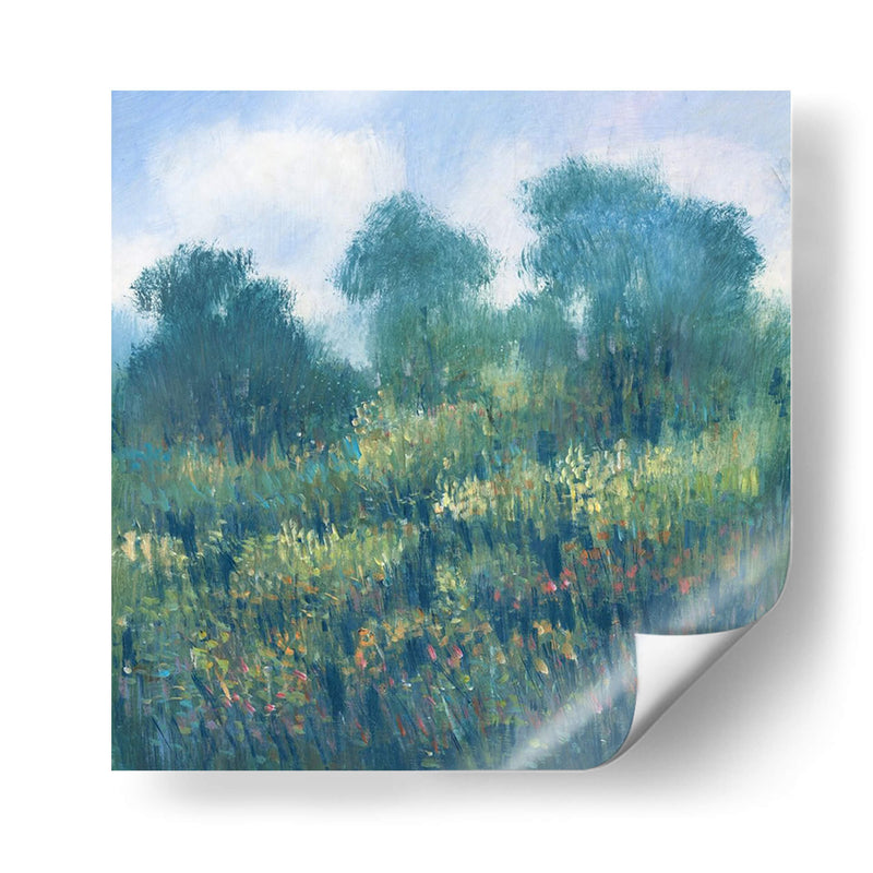 Pradera Wildflowers Ii - Tim OToole | Cuadro decorativo de Canvas Lab