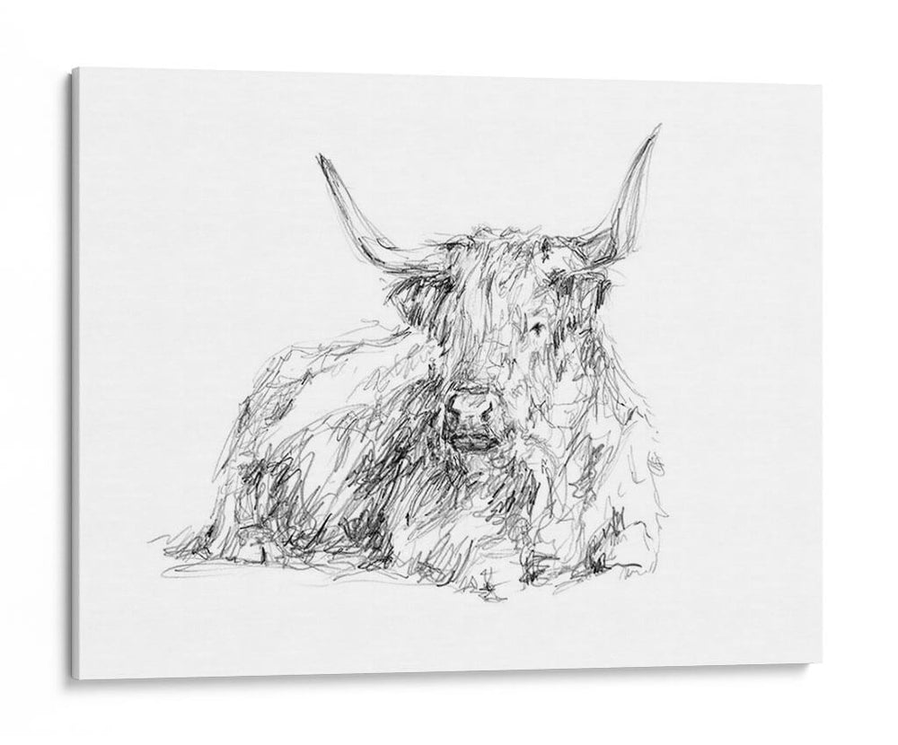 Bosquejo De Ganado Highland I - Ethan Harper | Cuadro decorativo de Canvas Lab