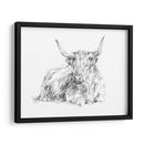 Bosquejo De Ganado Highland I - Ethan Harper | Cuadro decorativo de Canvas Lab