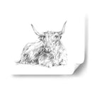 Bosquejo De Ganado Highland I - Ethan Harper | Cuadro decorativo de Canvas Lab