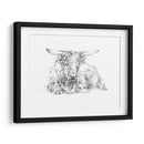 Bosquejo De Ganado Highland Ii - Ethan Harper | Cuadro decorativo de Canvas Lab