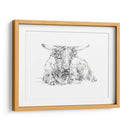 Bosquejo De Ganado Highland Ii - Ethan Harper | Cuadro decorativo de Canvas Lab