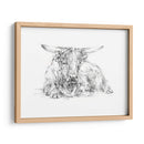 Bosquejo De Ganado Highland Ii - Ethan Harper | Cuadro decorativo de Canvas Lab