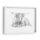 Bosquejo De Ganado Highland Ii - Ethan Harper | Cuadro decorativo de Canvas Lab