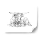 Bosquejo De Ganado Highland Ii - Ethan Harper | Cuadro decorativo de Canvas Lab