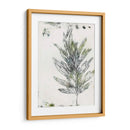 Presencia De La Naturaleza Viii - Lila Bramma | Cuadro decorativo de Canvas Lab