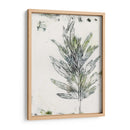 Presencia De La Naturaleza Viii - Lila Bramma | Cuadro decorativo de Canvas Lab