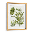 Presencia De La Naturaleza Ix - Lila Bramma | Cuadro decorativo de Canvas Lab