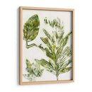 Presencia De La Naturaleza Ix - Lila Bramma | Cuadro decorativo de Canvas Lab