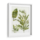 Presencia De La Naturaleza Ix - Lila Bramma | Cuadro decorativo de Canvas Lab