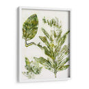 Presencia De La Naturaleza Ix - Lila Bramma | Cuadro decorativo de Canvas Lab