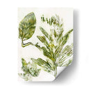 Presencia De La Naturaleza Ix - Lila Bramma | Cuadro decorativo de Canvas Lab