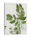 Presencia De La Naturaleza X - Lila Bramma | Cuadro decorativo de Canvas Lab