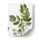 Presencia De La Naturaleza X - Lila Bramma | Cuadro decorativo de Canvas Lab