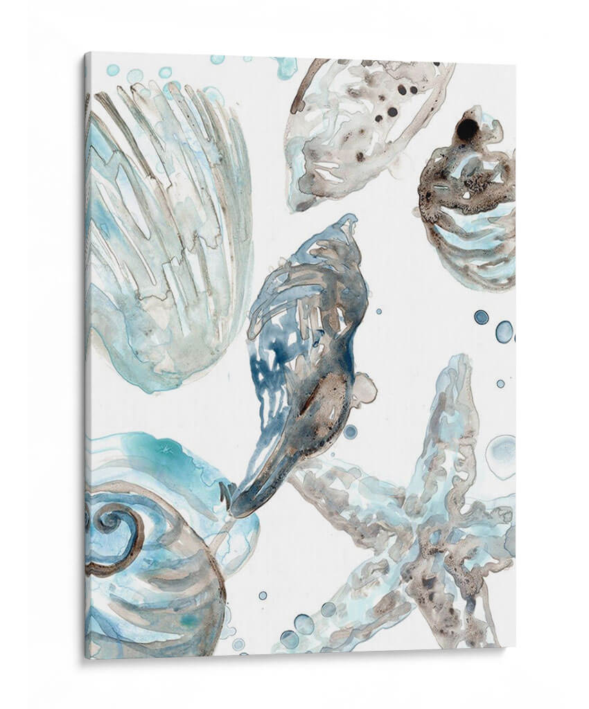 Seashells Cerulean Iii - June Erica Vess | Cuadro decorativo de Canvas Lab