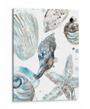 Seashells Cerulean Iii - June Erica Vess | Cuadro decorativo de Canvas Lab