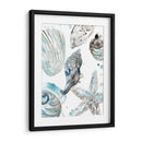 Seashells Cerulean Iii - June Erica Vess | Cuadro decorativo de Canvas Lab