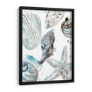 Seashells Cerulean Iii - June Erica Vess | Cuadro decorativo de Canvas Lab