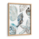 Seashells Cerulean Iii - June Erica Vess | Cuadro decorativo de Canvas Lab