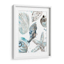 Seashells Cerulean Iii - June Erica Vess | Cuadro decorativo de Canvas Lab