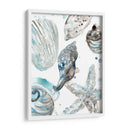 Seashells Cerulean Iii - June Erica Vess | Cuadro decorativo de Canvas Lab