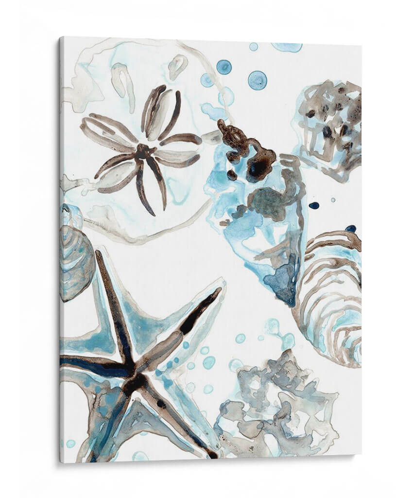 Cosulean Seashells Iv - June Erica Vess | Cuadro decorativo de Canvas Lab