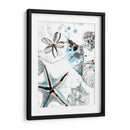 Cosulean Seashells Iv - June Erica Vess | Cuadro decorativo de Canvas Lab