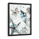 Cosulean Seashells Iv - June Erica Vess | Cuadro decorativo de Canvas Lab