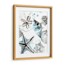 Cosulean Seashells Iv - June Erica Vess | Cuadro decorativo de Canvas Lab