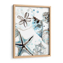 Cosulean Seashells Iv - June Erica Vess | Cuadro decorativo de Canvas Lab