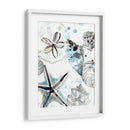 Cosulean Seashells Iv - June Erica Vess | Cuadro decorativo de Canvas Lab