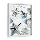 Cosulean Seashells Iv - June Erica Vess | Cuadro decorativo de Canvas Lab