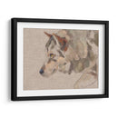 Timber Wolf Ii - W. Rutledge | Cuadro decorativo de Canvas Lab