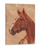 Pura Sangre I - W. Rutledge | Cuadro decorativo de Canvas Lab