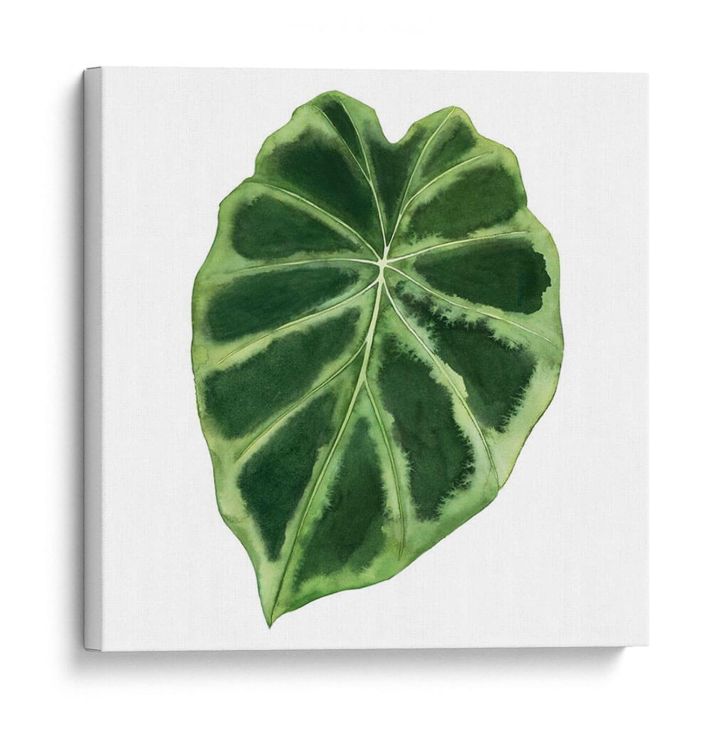 Rainforest Jewel Iii - Grace Popp | Cuadro decorativo de Canvas Lab