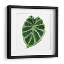 Rainforest Jewel Iii - Grace Popp | Cuadro decorativo de Canvas Lab