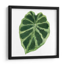 Rainforest Jewel Iii - Grace Popp | Cuadro decorativo de Canvas Lab