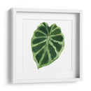 Rainforest Jewel Iii - Grace Popp | Cuadro decorativo de Canvas Lab