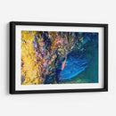 Reunión bajo el agua | Cuadro decorativo de Canvas Lab