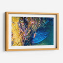 Reunión bajo el agua | Cuadro decorativo de Canvas Lab