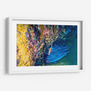 Reunión bajo el agua | Cuadro decorativo de Canvas Lab