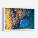 Reunión bajo el agua | Cuadro decorativo de Canvas Lab